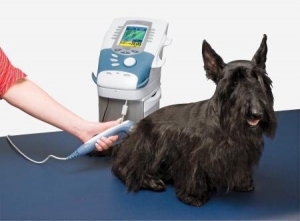 Vet Therapeutic Ultrasound Device - LUMSAIL INDUSTRIAL INC.
