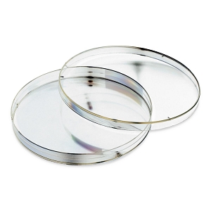 CELLTREAT Scientific Products 15mm Round Cover Glass, Sterile, Quantity