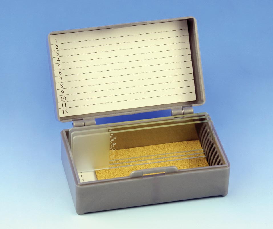 Microscope Slide Storage Box with Removable Tray from Globe