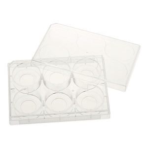 Glass-Bottom Tissue Culture Plates | Medline Industries, Inc.