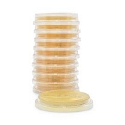 Tryptic Soy Agar with Lecithin & Polysorbate 80