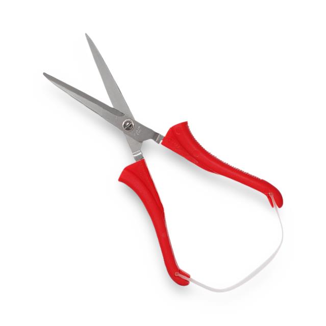 Loop Scissors Standard with Round Tips