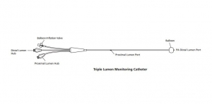 Swan-Ganz Pulmonary Artery Catheters | Medline Industries, Inc.